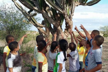 AULA DE CAMPO REALIZADA PELA PROFESSORA SÍLVIA BASTOS COM A TURMA DO 4° ANO DA ESCOLA ORLANDO CARNEIRO, OS ALUNOS ESTUDARAM A VEGETAÇÃO DO MUNICÍPIO DE ANGUERA E TAMBÉM COMEMORARAM O DIA MUNDIAL DA ÁGUA      